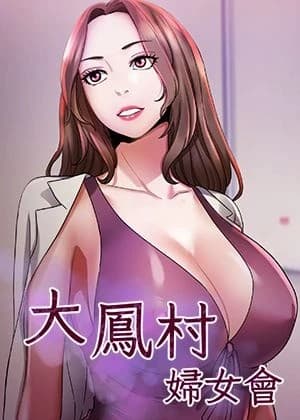 《大凤村妇女会》封面