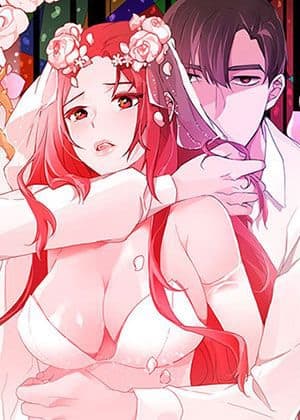 《灰姑娘的哥哥们》封面